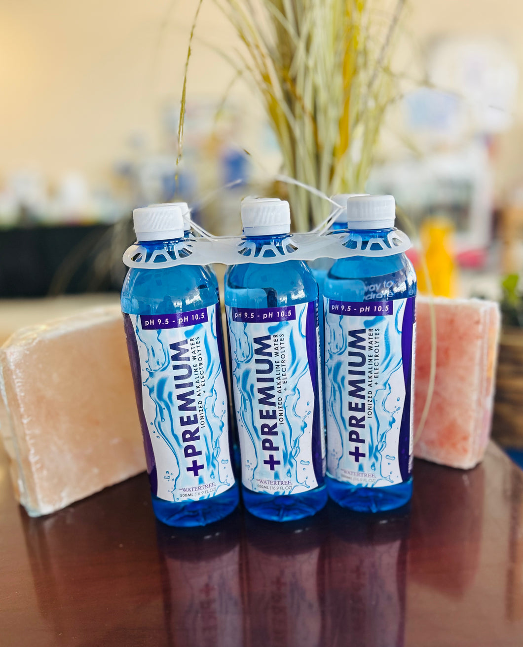 6pk Premium (IN-STORE PICK UP ONLY)